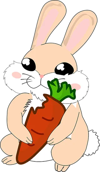 橘色兔子抱萝卜