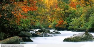 卧龙水雾树林秋色