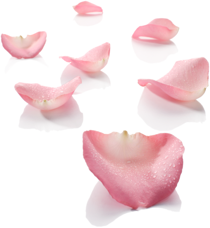 免抠粉色花瓣素材