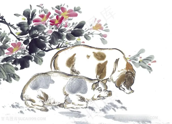 国画花卉猪图片