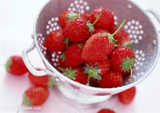 果园新鲜的草莓高清图片