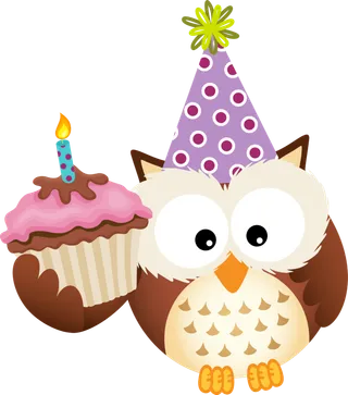 猫头鹰生日