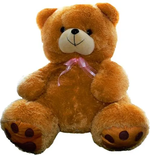 泰迪熊 PNG免抠(670x689)