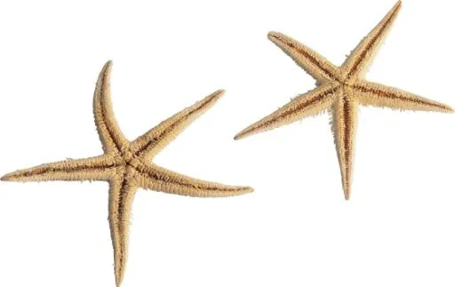 海星 PNG免抠(560x354)