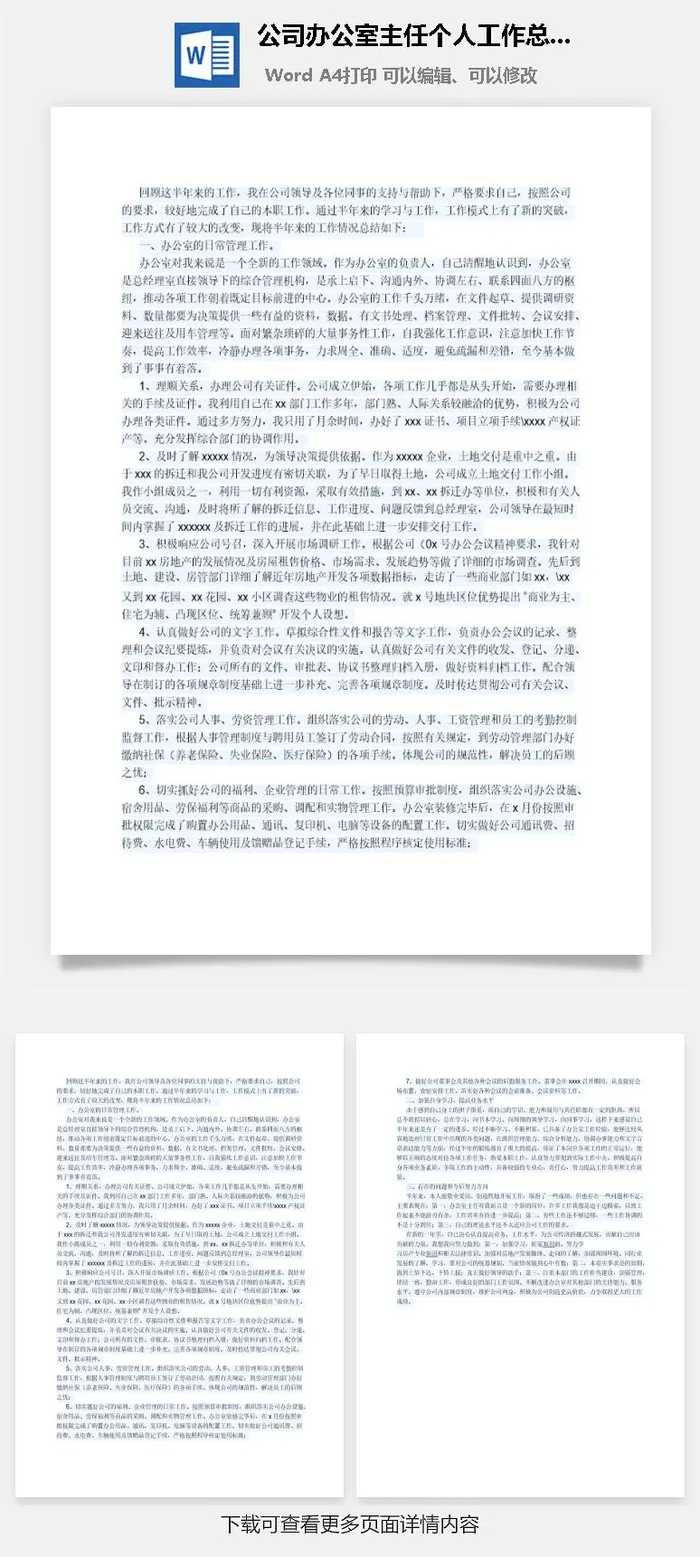 公司办公室主任个人工作总结word模板