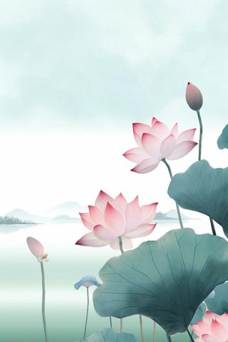 国潮荷花插画背景