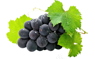 水果免扣png素材