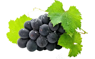 水果免扣png素材