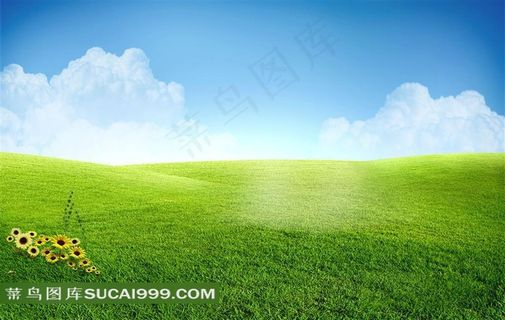 绿色草地高清图片