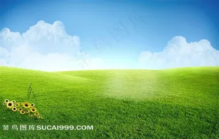 绿色草地高清图片