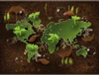 C4d插画 浮雕插画 卡通插画 背景插画