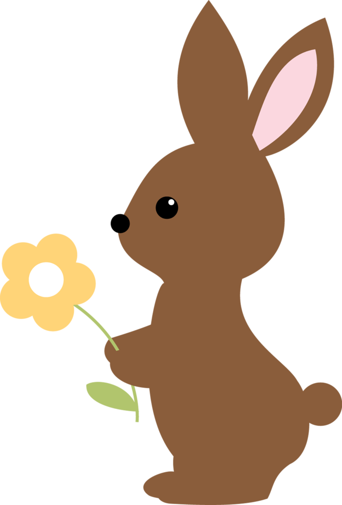 持花兔年兔子