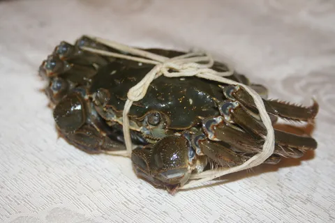 大闸蟹