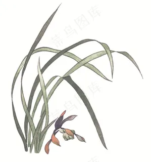 国画瓜果蔬菜鱼虾蟹大图美图素材