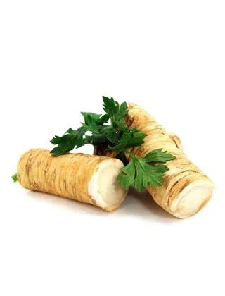 辣根 PNG免抠(320x420)