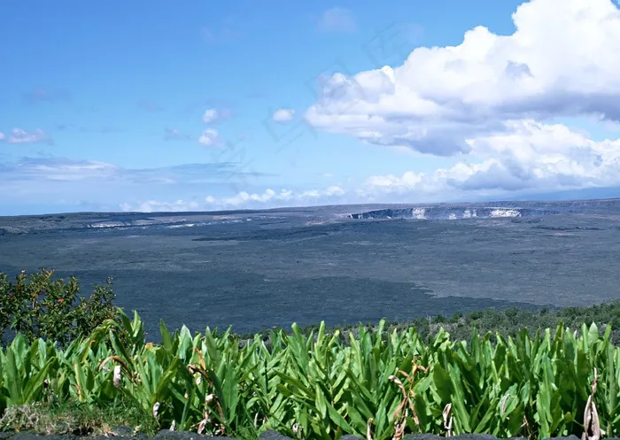 绿树山水 269