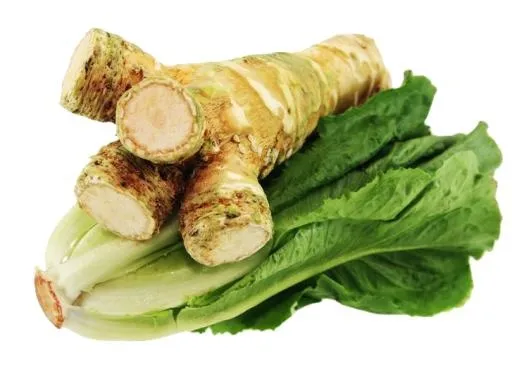 辣根 PNG免抠(727x522)