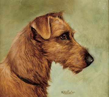 黄色小狗宠物油画