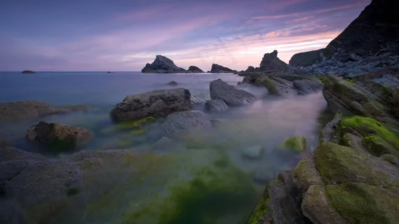 大海的石头 大海的石头