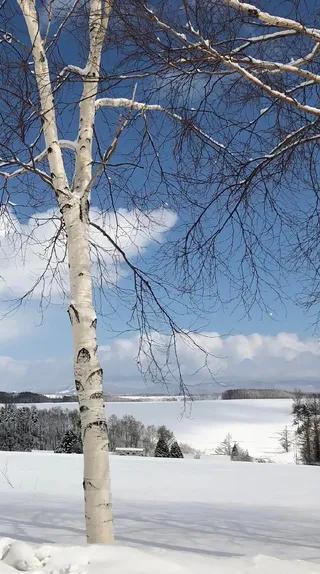 006EHblAly1hfswdjdchoj30u01hutr9