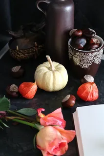 桌子上的美丽玫瑰 桌子上的美丽玫瑰