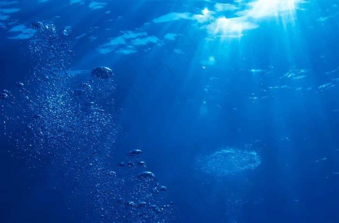 静谧的海洋深处