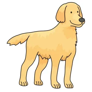 拉布拉多犬 PNG免抠