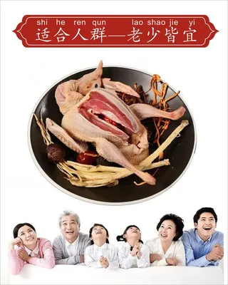 鸽子大全展板13