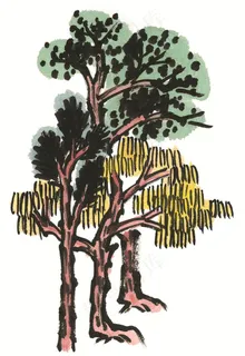 树木文化艺术摄影图片