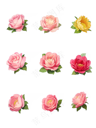 红色 粉色 手绘 免抠 PNG 玫瑰 花 素材3