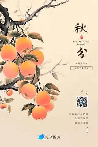 秋分国风橘子水墨简约大气节气海报