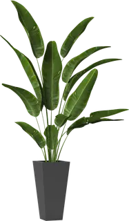 树木树枝树叶免扣素材