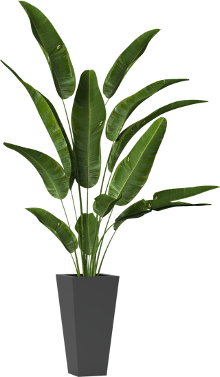 树木树枝树叶免扣素材