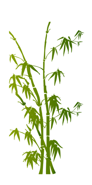 竹子水墨画中国风国画墨水书法竹子画