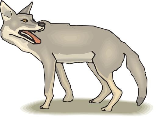 PNG豺狼土狼免抠