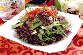 0911LCS-298冰藻拌苦菊