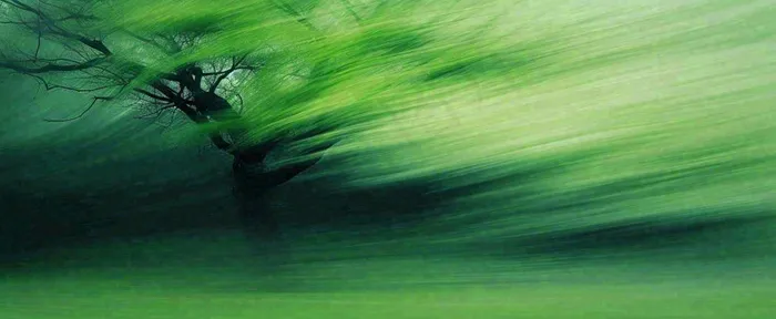 绿色植物树木绚丽虚幻背景(1712x704)