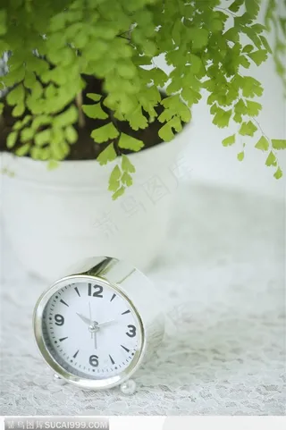 简单生活-盆景下的闹钟
