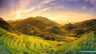 丘陵梯田风景图片