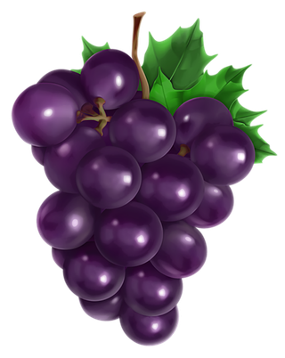 葡萄卡通紫色