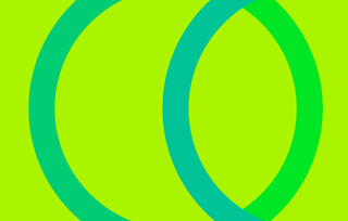 绿色质感卡片样机