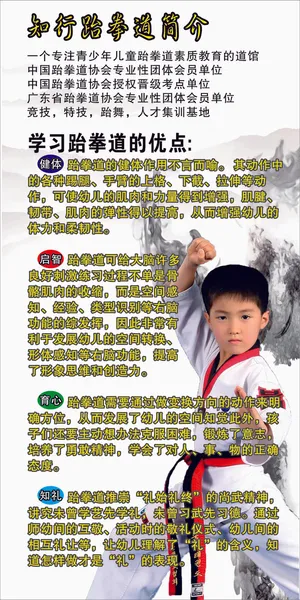跆拳道海报简介