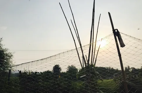 乡村乡村/清晨/手机摄影/自然/风景/农村 乡村乡村/清晨/手机摄影/自然/风景/农村