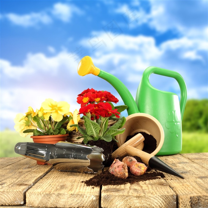 园林花艺摄影插画