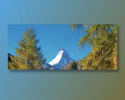 松树稍间的雪山山尖