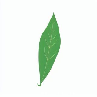 一片绿色叶子png免抠