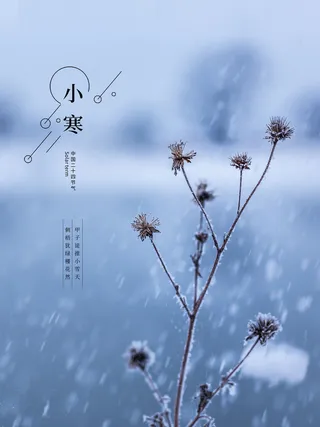 中国传统冬天小寒祝福24二十四节气节日宣传活动海报
