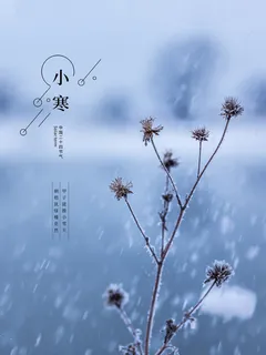 中国传统冬天小寒祝福24二十四节气节日宣传活动海报 中国传统冬天小寒祝福24二十四节气节日宣传活动海报