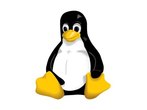 Linux 标志 PNG免抠(800x600)