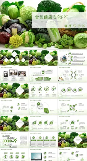 食品安全健康PPT模板ppt模版预览图